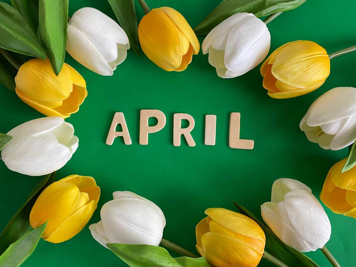 calendars-april-2023-greenwich-woods-greenwichwoods